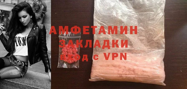мдпв Болотное