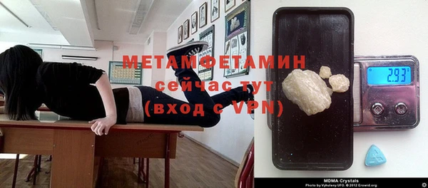 мдпв Болотное