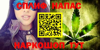 прущие крисы Будённовск