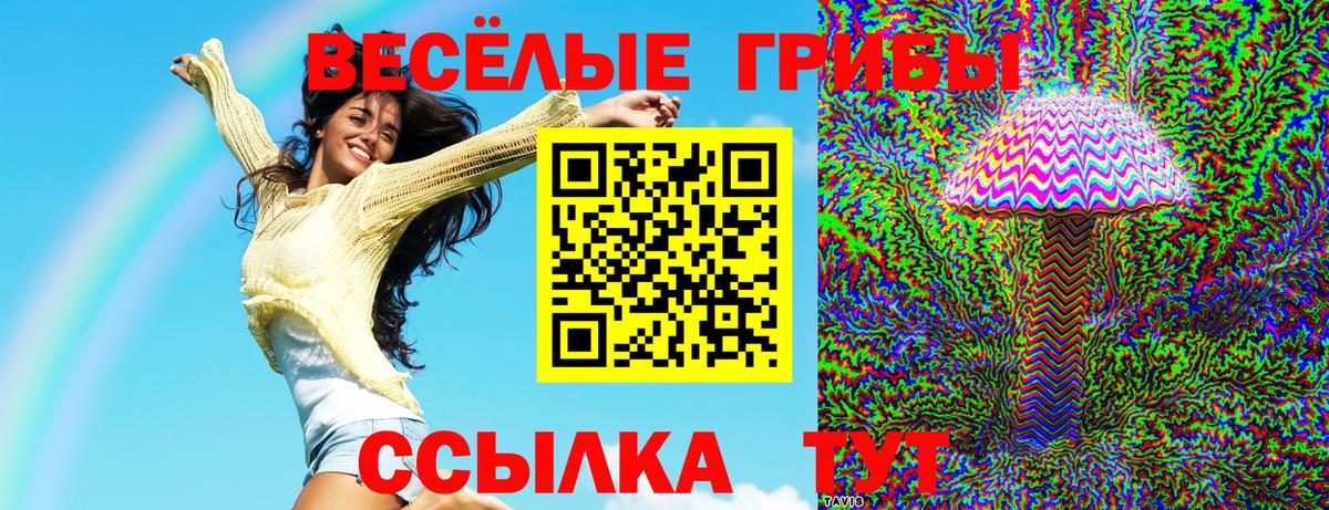 Галлюциногенные грибы Cubensis  Вход с VPN  Армавир 