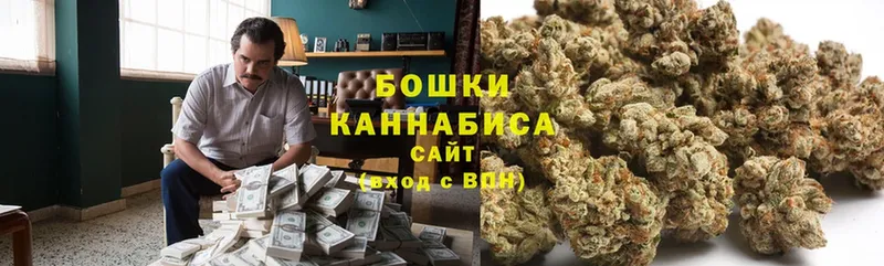 Бошки марихуана OG Kush  купить наркоту  Армавир 